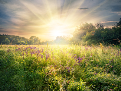 Spinal Check ups from Dr. David Wren